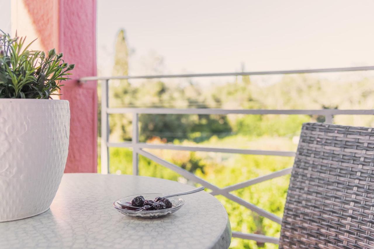 Villa Vasiliki Lefkimmi  Exteriör bild