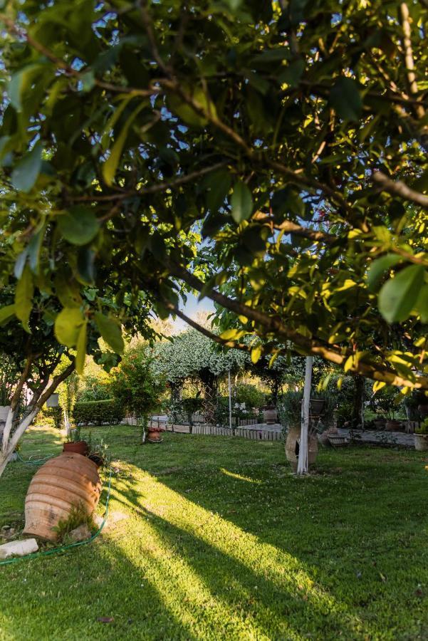 Villa Vasiliki Lefkimmi  Exteriör bild